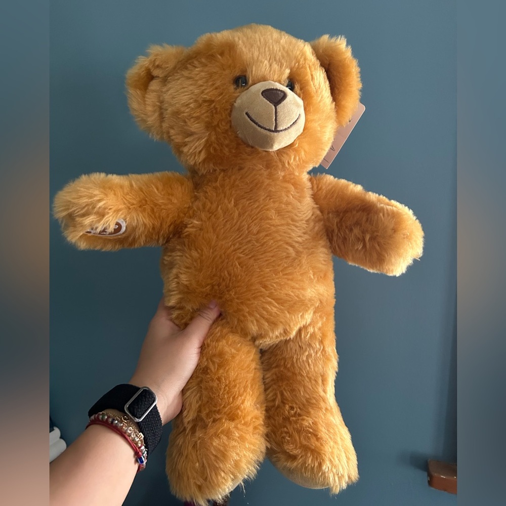 Build-A-Bear Golden Teddy Bear - Read Teddy Bear